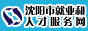 沈阳市就业和人才服务网